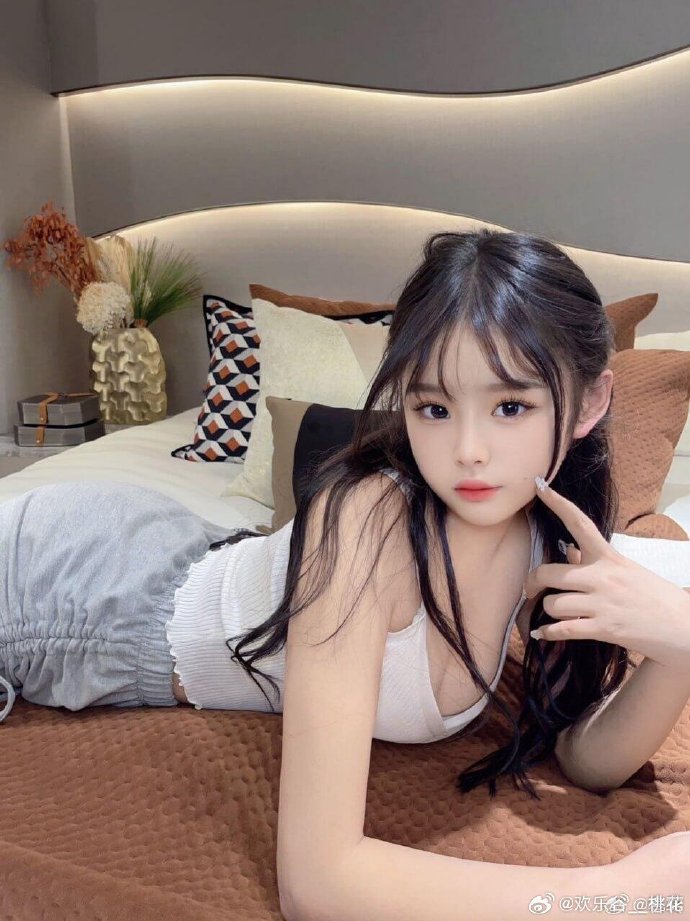 甄嬛传 封面